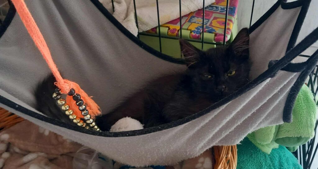 91007c39b6bd3ed039e8fef30077e1e3