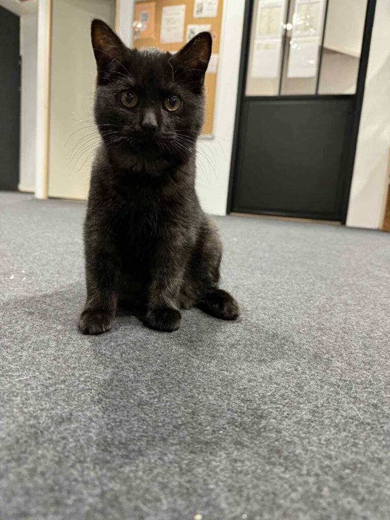 att.8pNE5sE3TTAOhYYGXHFOjcm69XCb1zdxvAhyJEsVeyM