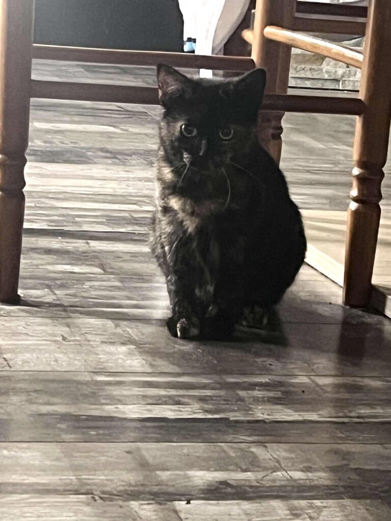 att.letGrNQK562zWfi3G2Te_2ablH40nb2frlQBQxl79jc