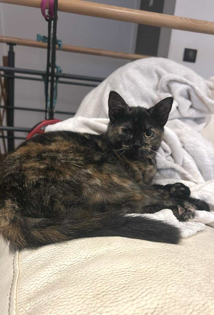 att.vzDzNhI8S9enJmMc0noG32kn55gKztP-ygO-gkTGbio