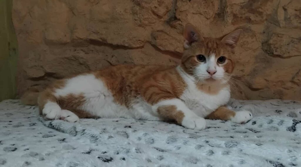 71e6135c57d9e3496aa1578bafc59873