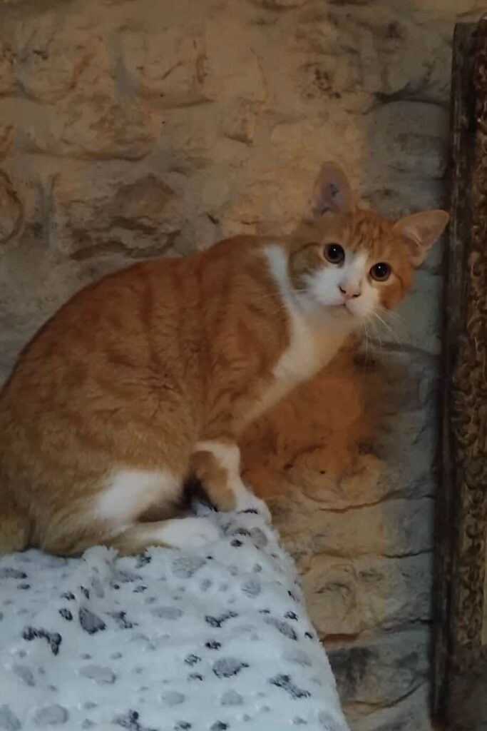 c5161a8381070fc0cbbe5591bb06fd30